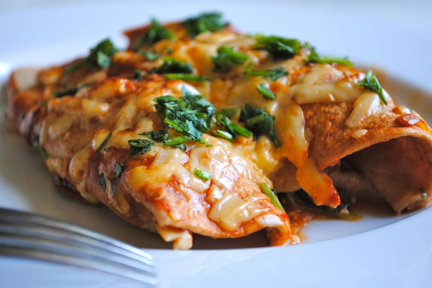 Spicy Chicken Enchiladas